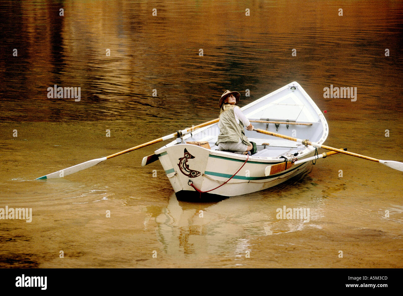 woman rowing a dory Stock Photo Alamy