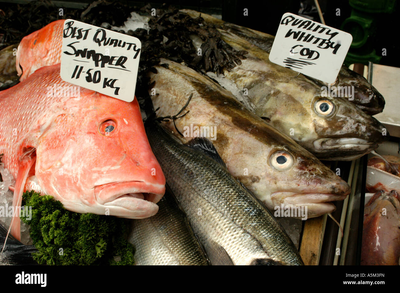 Fish at Borough Market Stock Photo Alamy
