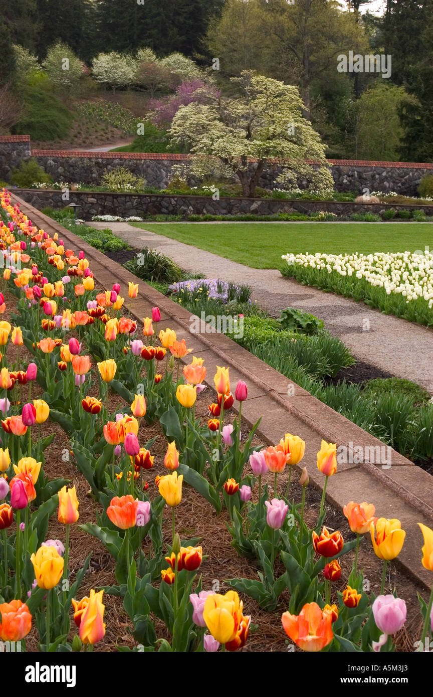 A view of the Biltmore Estate Gardens from a path in the springtime Stock Photo