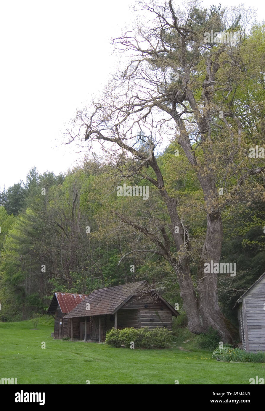 An Old Log Cabin Is Part Of The Collection Of Buildings At The