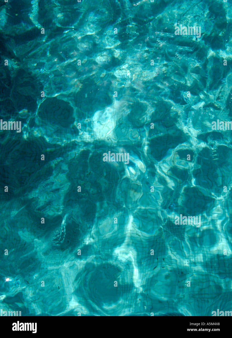 The sparkling water in a deep blue swimming pool sparkle in the