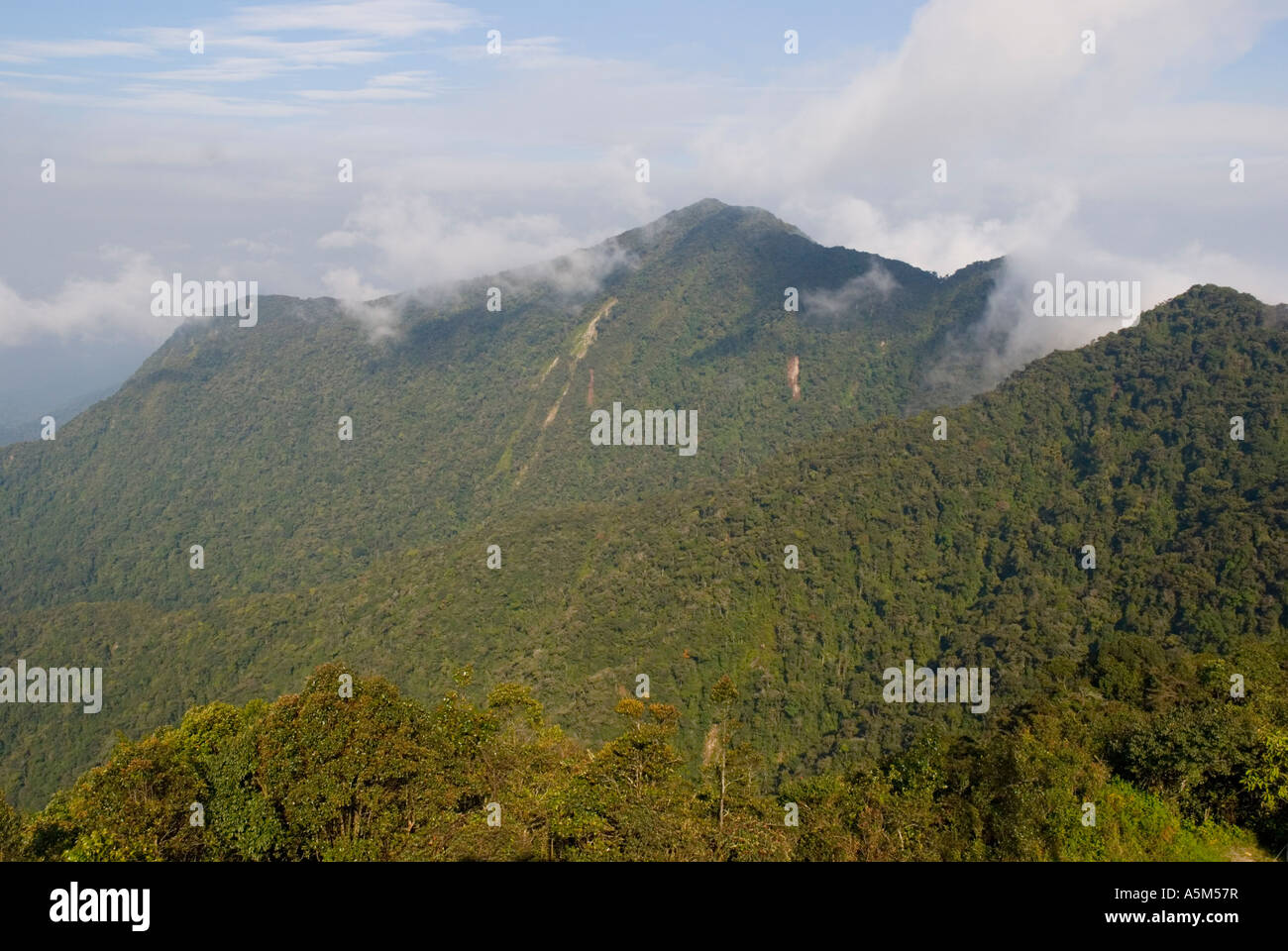 The view of mist covered mountains from the highest point of the
