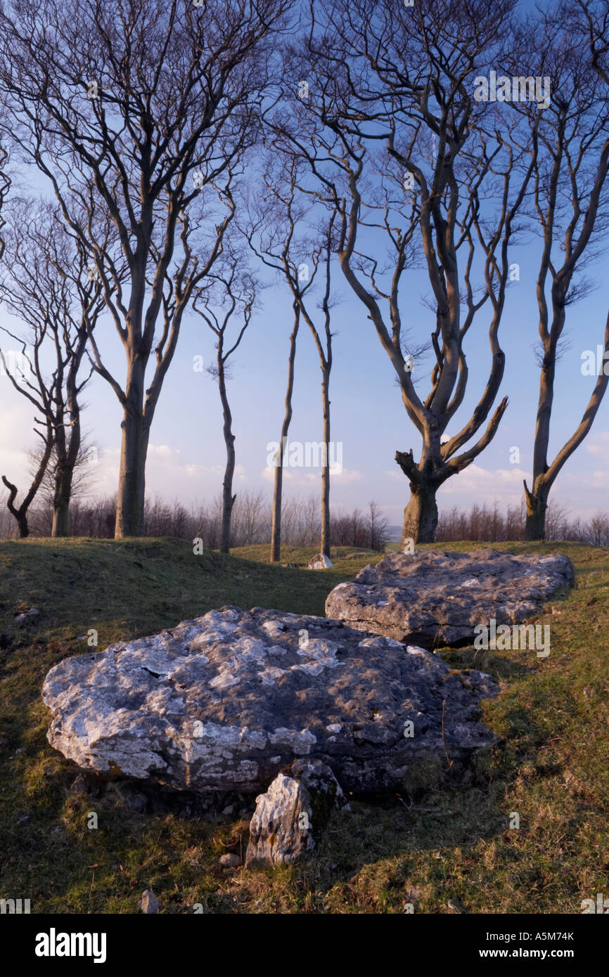 An open burial chambered cairn  on Minning low Hill  in Derbyshire 'Great Britain' Stock Photo