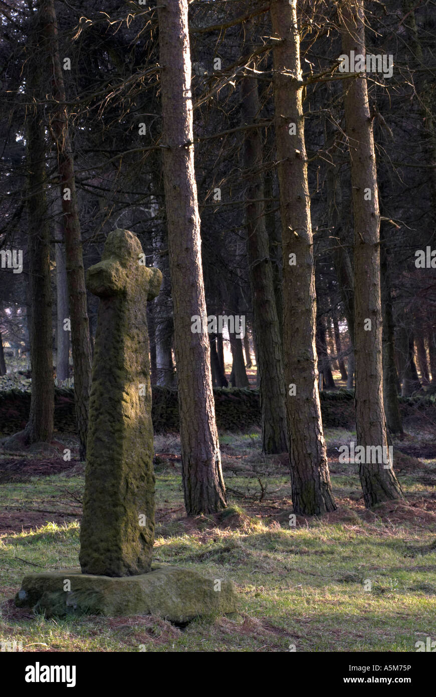 "Shillito Cross" an ancient stone cross placed in a triangular pedestal in Shillito wood    in Derbyshire "Great Britain" Stock Photo