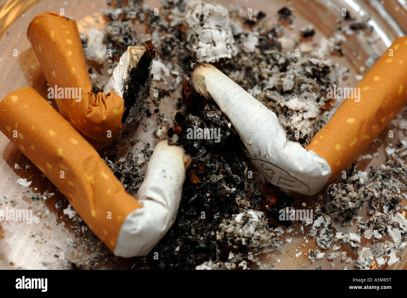 Zigarette im Aschenbecher rauchen Raucher Tabak Asche blauer Dunst Zigaretten Glimmstengel Krankheit Sargnagel paffen Ziehen glü Stock Photo