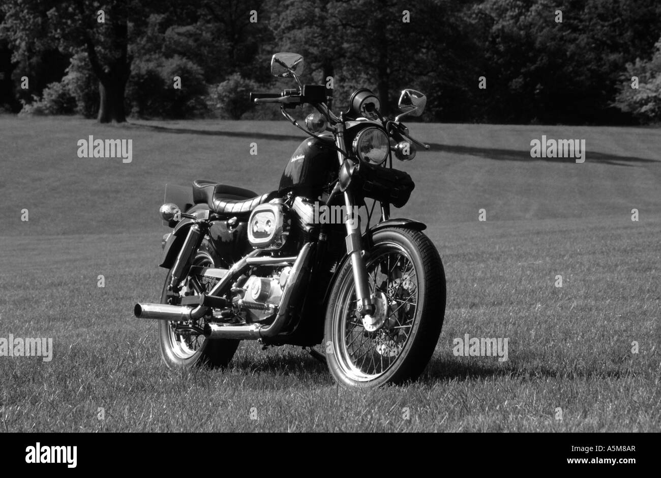 Harley Davidson 883 Stock Photo Alamy