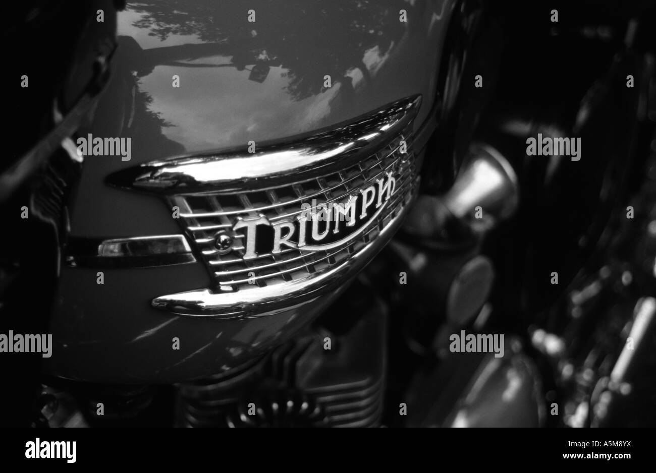 Historic triumph motorcycle Black and White Stock Photos & Images - Alamy