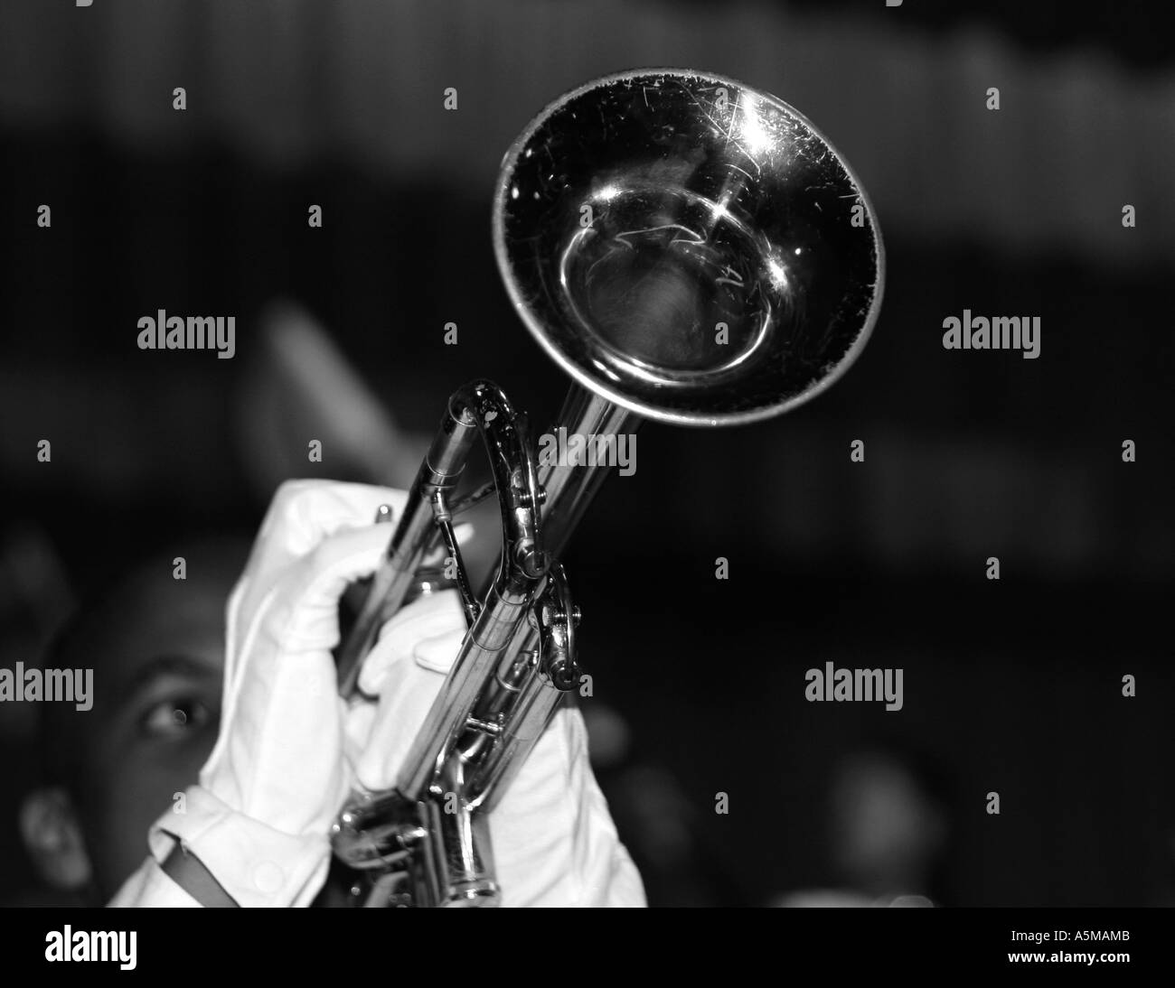 Black trumpet player Black and White Stock Photos & Images Alamy
