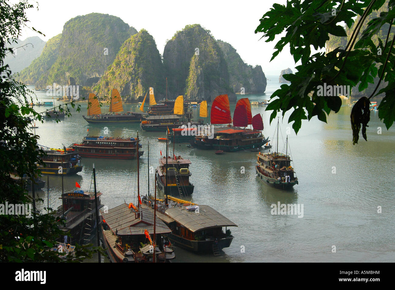 Dschunken Hafen Halong Bucht Vietnam Port of junks Halong Bay Asien asia Landschaft Natur draußen menschenleer Gelände Gegend La Stock Photo