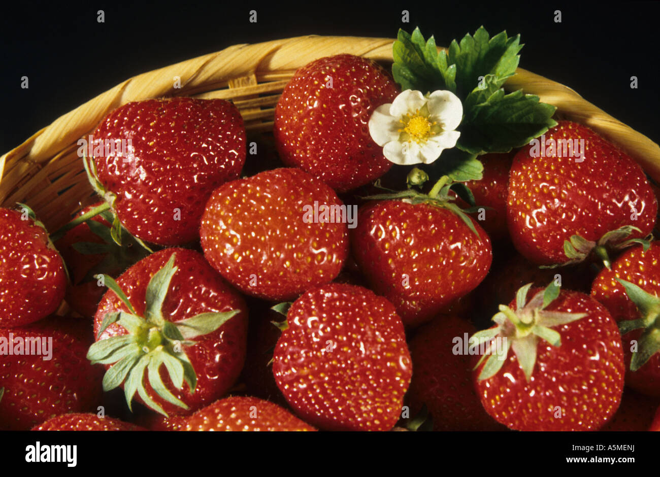 Erdbeere Strawberry Fragaria vesca fragola ERDBEERE Lebensmittel Nahrungsmittel Nahrung food generi alimentari alimentazione nut Stock Photo