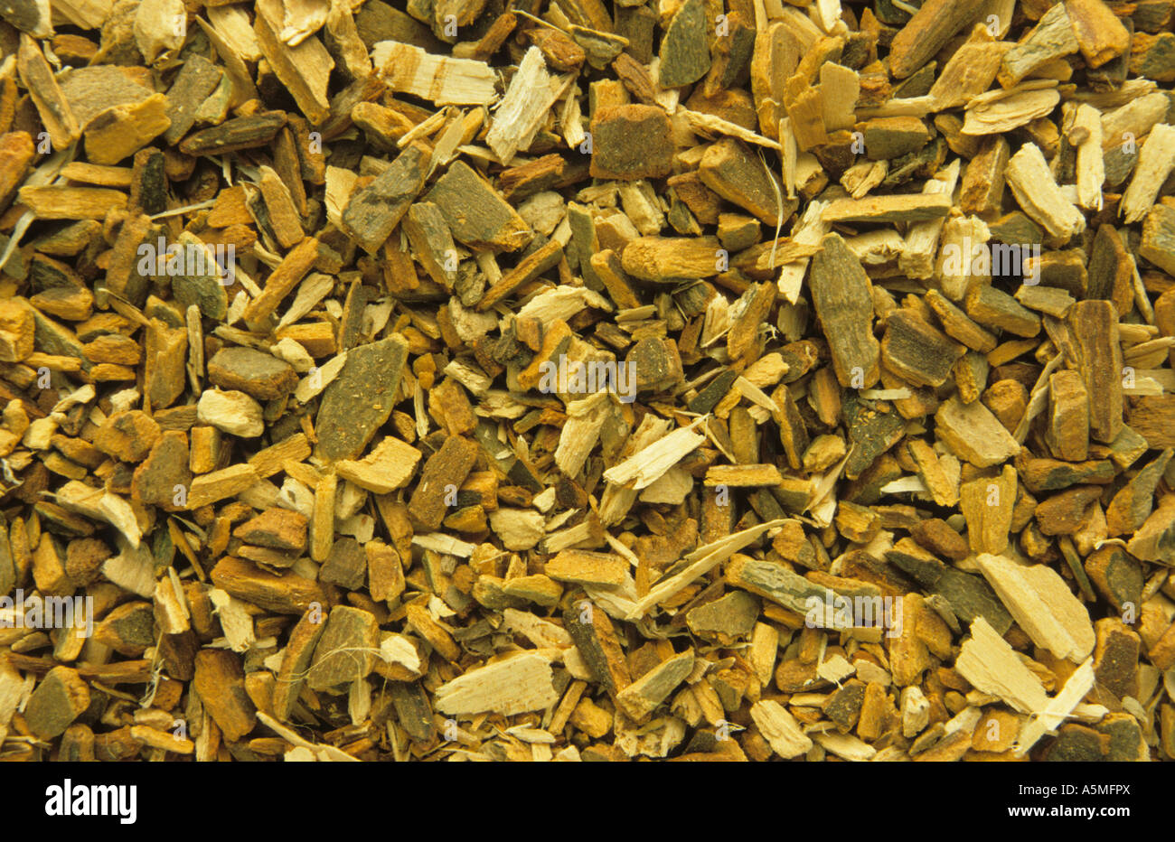 Angustura Galipea officinalis ANGUSTURA Angusturarinde bark corteccia getrocknet dry dried geschnitten cutted Lebensmittel Nahru Stock Photo