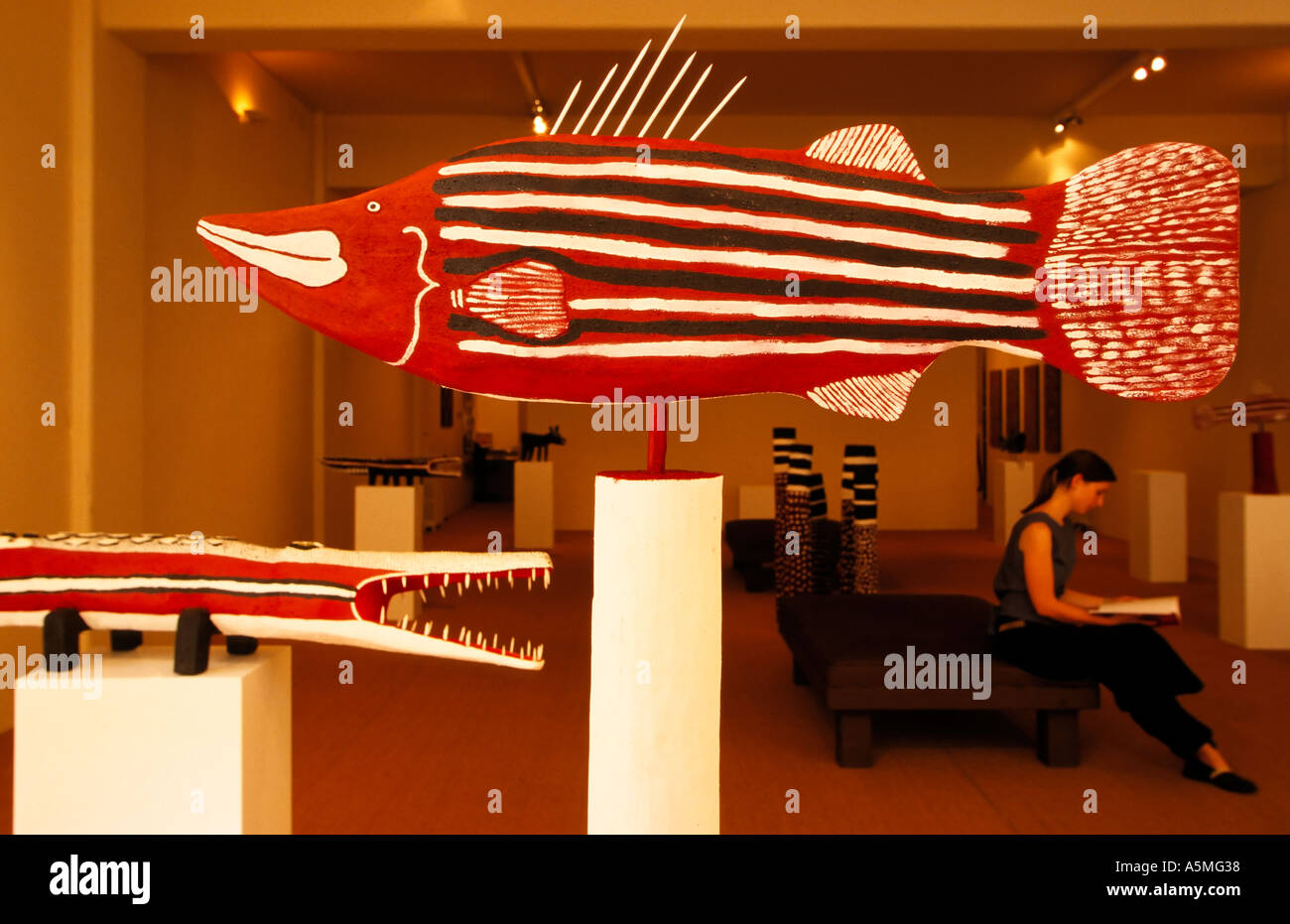 Fish Art Aboriginal Indigenous High Resolution Stock Photography and