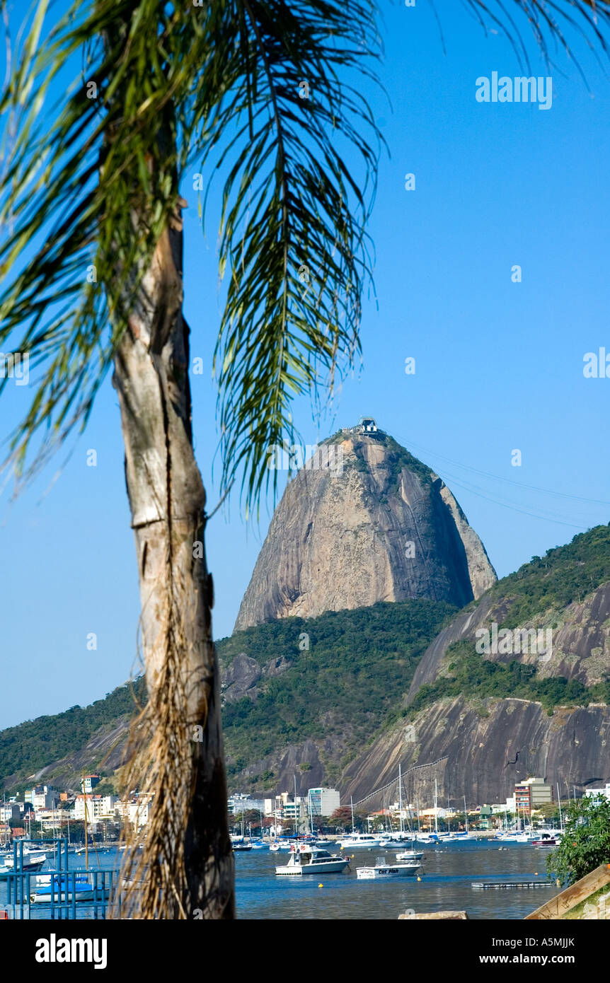 Zuckerhut Rio de Janeiro Brasilien Sugar loaf mountain Rio de Janeiro ...