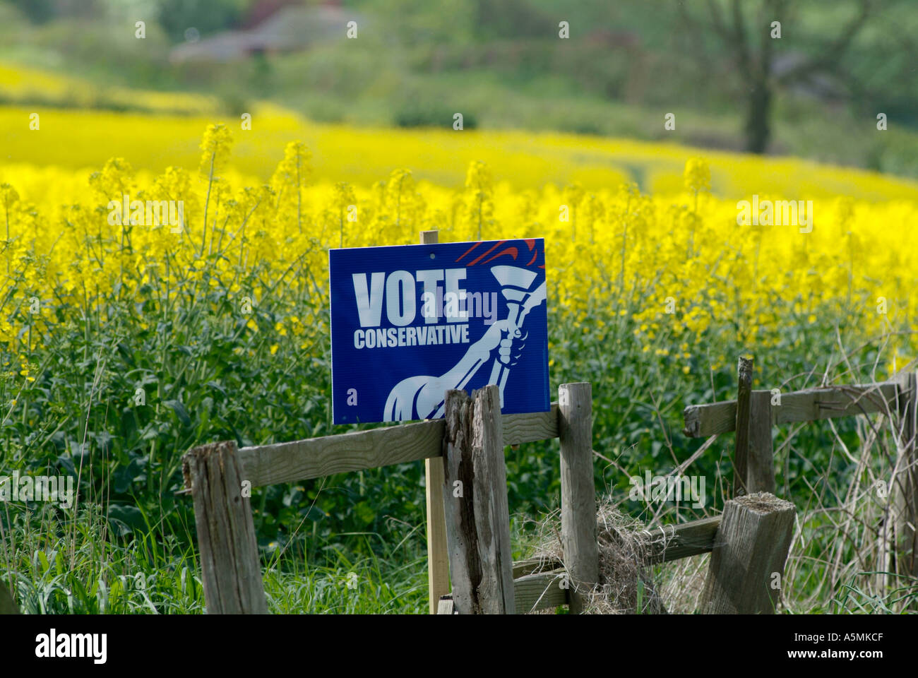vote voter politics political party democracy voter conservative blue rinse tory torry rural suburb countryside middle englan Stock Photo