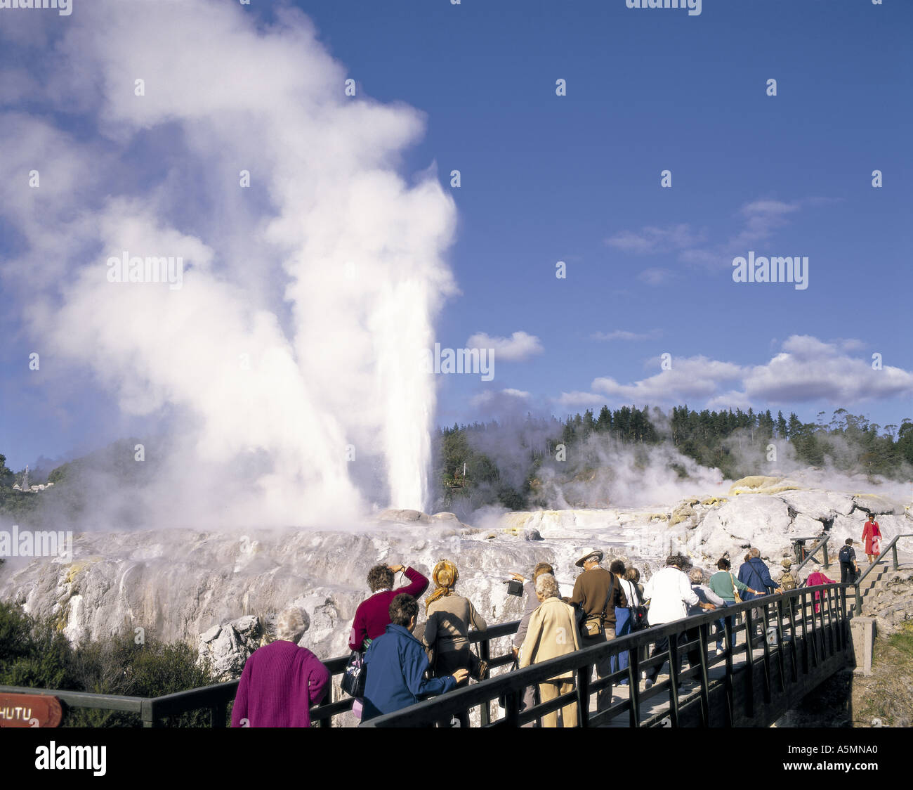 Geyser blowing at Rotorua North Island New Zealand Stock Photo Alamy