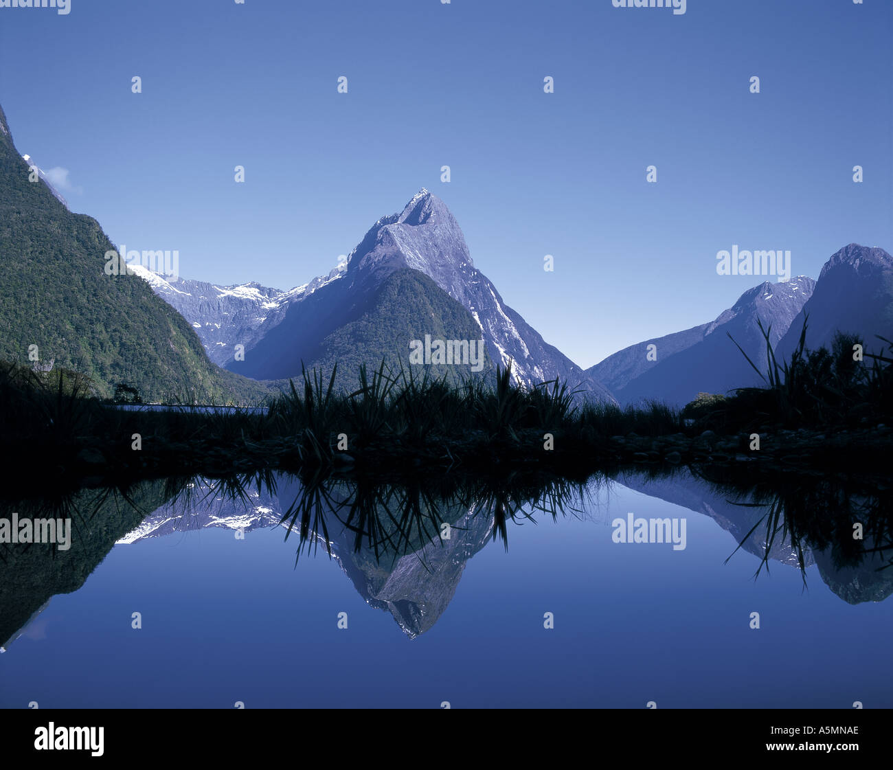 Mitre Peak reflected in Milford Sound South Island New Zealand Stock Photo