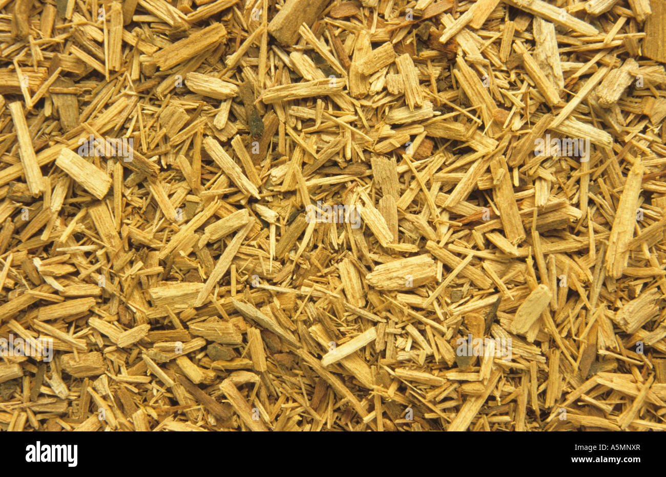 Sassafrasholz Hi res Stock Photography And Images Alamy