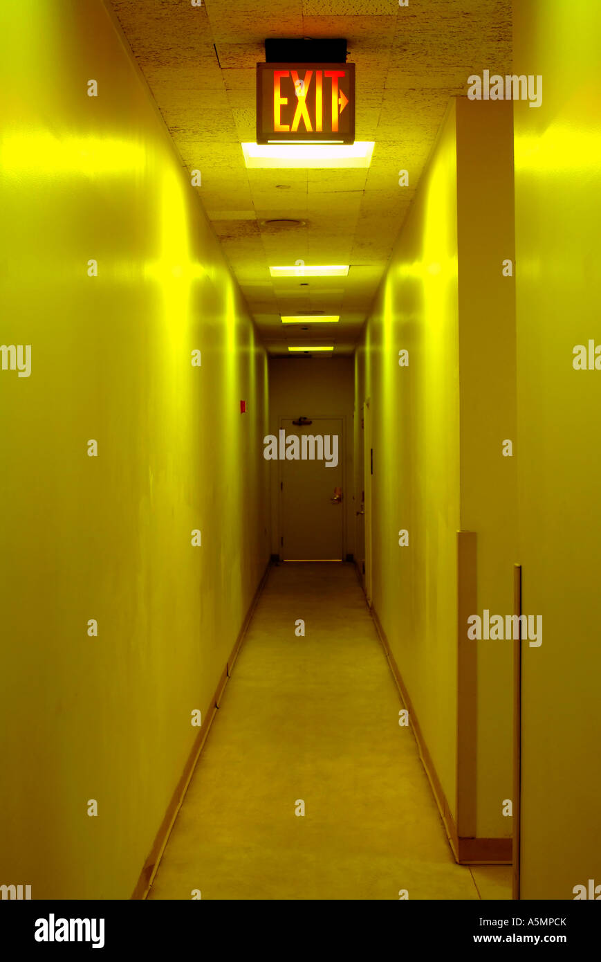 an illuminated exit sign in a building corridor Stock Photo Alamy