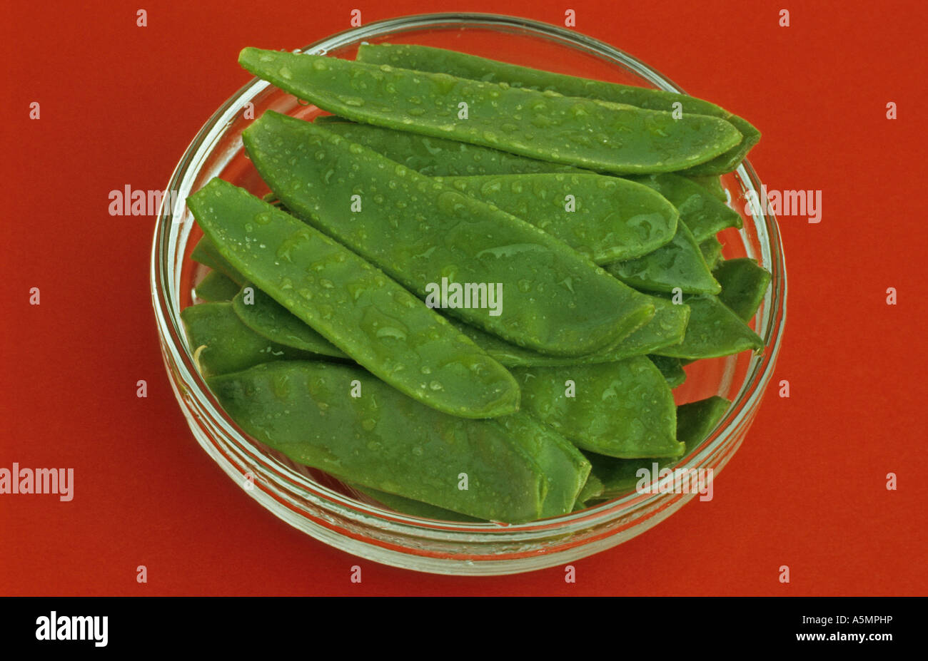 Zuckerschoten Sugar Pea Pisum Saccaratum Pisello Dolce ZUCKERSCHOTEN zuckerschoten-sugar-pea-pisum-saccaratum-pisello-dolce-zuckerschoten