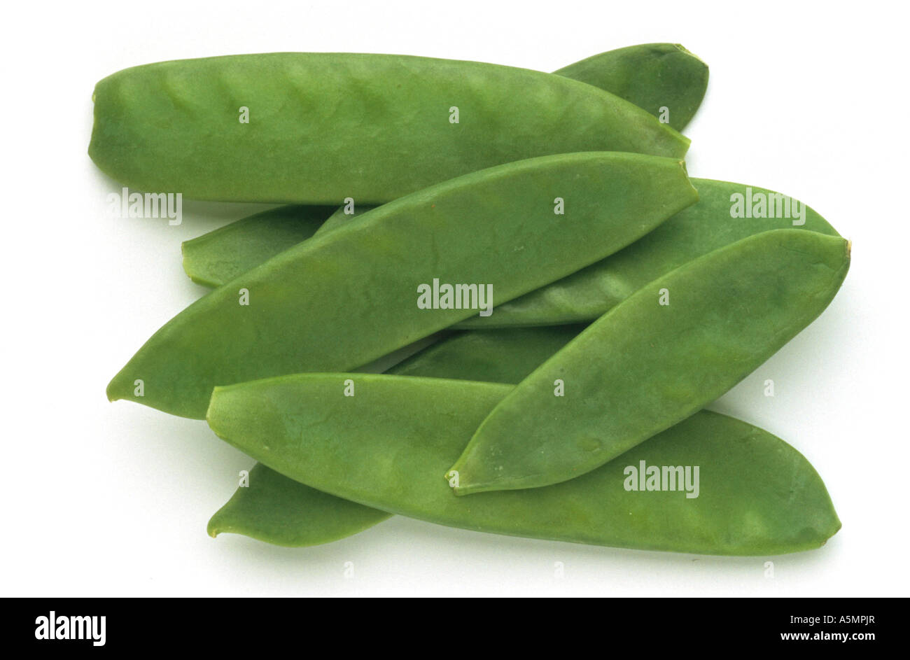 Zuckerschoten Sugar Pea Pisum Saccaratum Pisello Dolce ZUCKERSCHOTEN zuckerschoten-sugar-pea-pisum-saccaratum-pisello-dolce-zuckerschoten