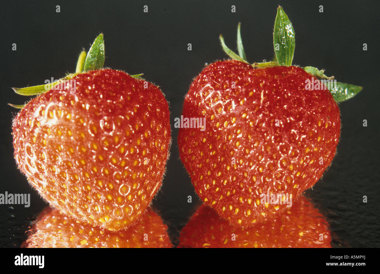 Erdbeere Strawberry Fragaria vesca fragola ERDBEERE Lebensmittel Nahrungsmittel Nahrung food generi alimentari alimentazione nut Stock Photo