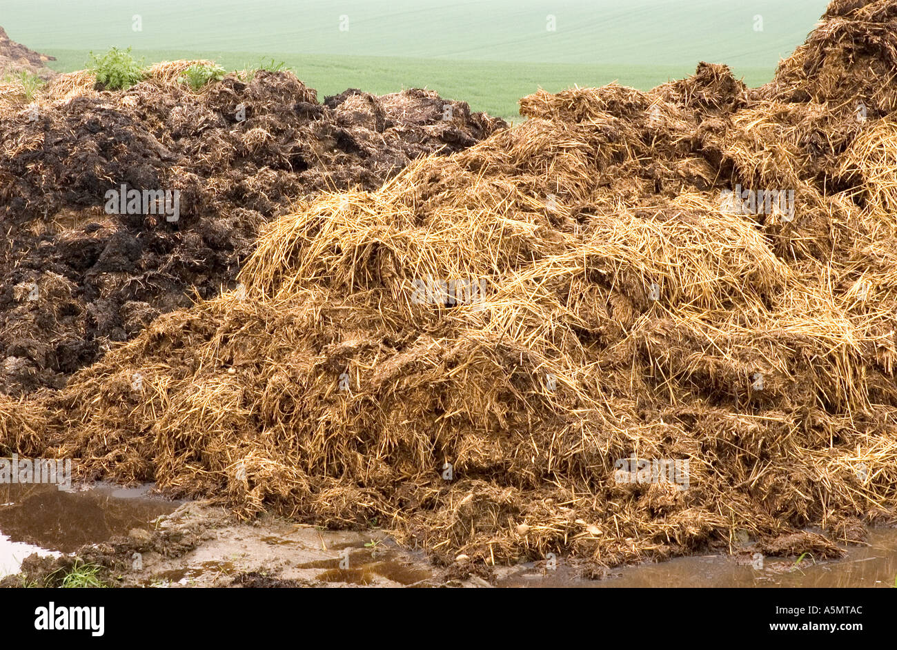 Farm Yard Manure Stock Photo - Alamy