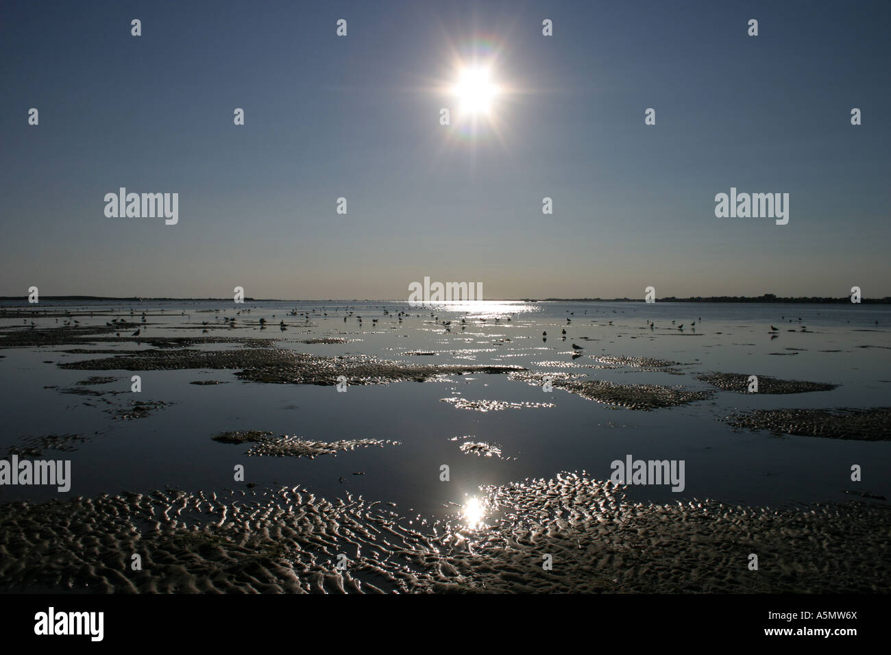 Oak beach long island new york hires stock photography and images Alamy