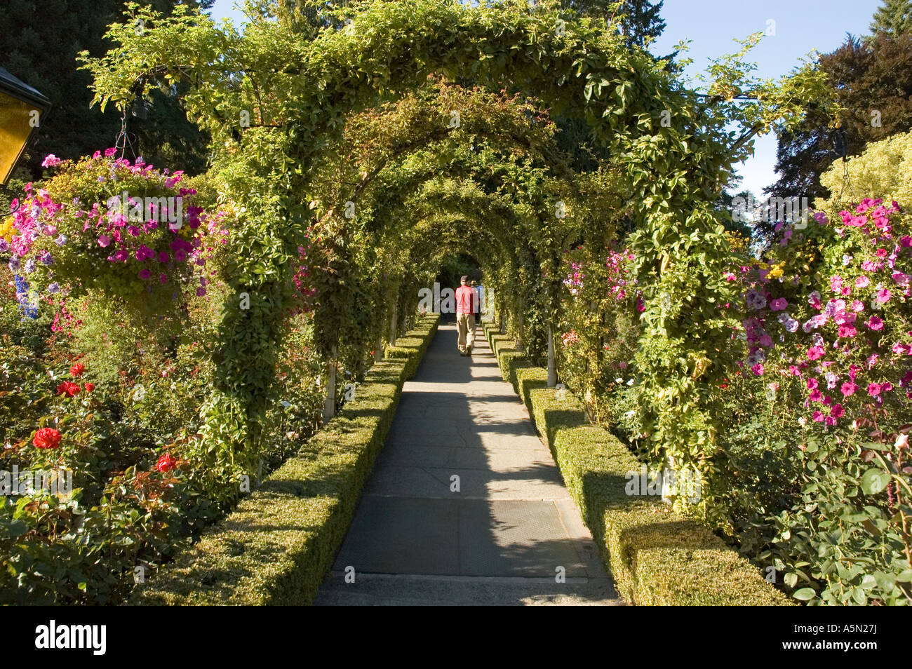 Rose Garden at The Butchart Gardens on Vancouver Island near Victoria