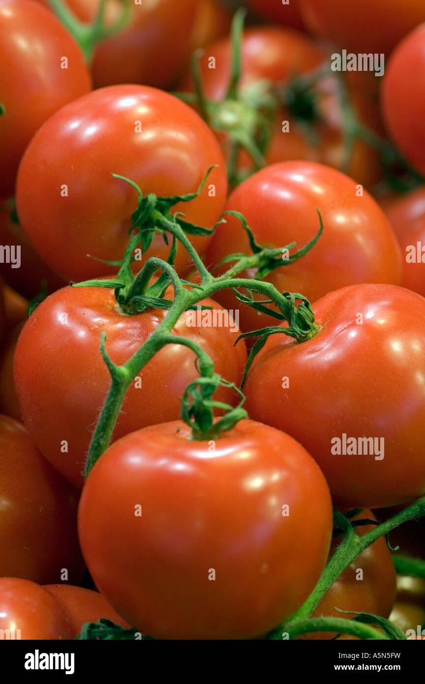 Fresh ripe vine tomato's on display in the farmers market Stock Photo
