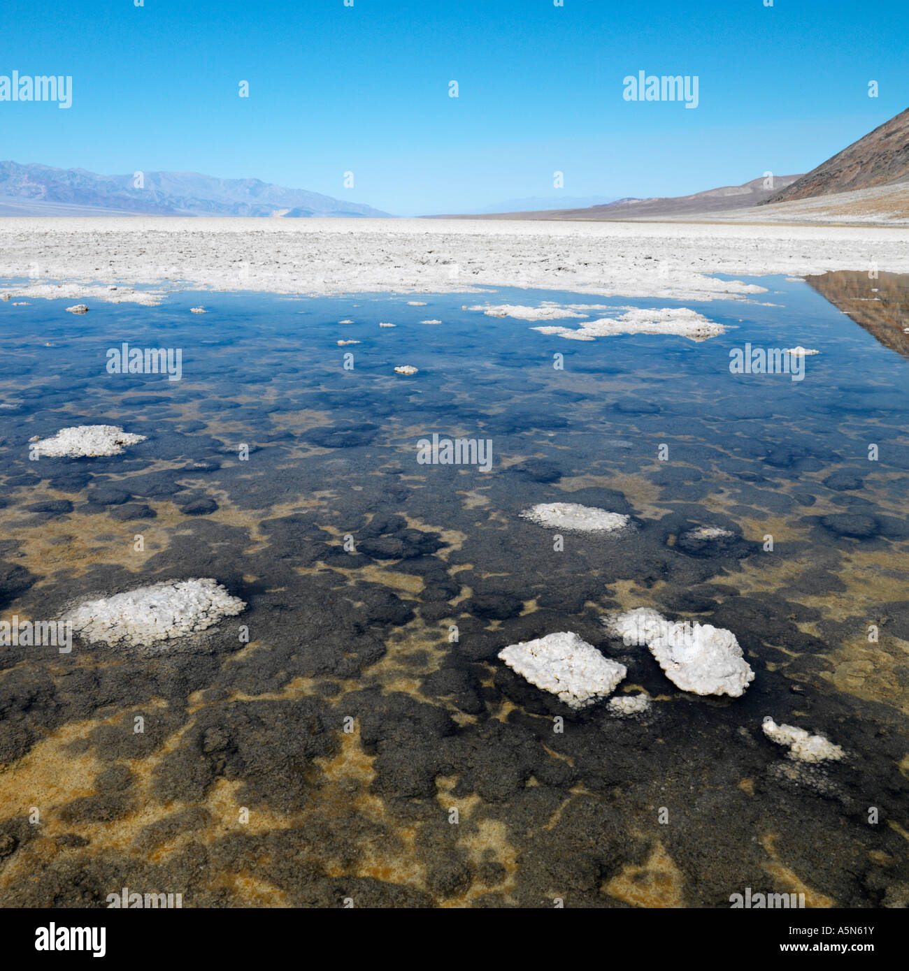 Badwater Basin in Death Valley National Park Stock Photo - Alamy