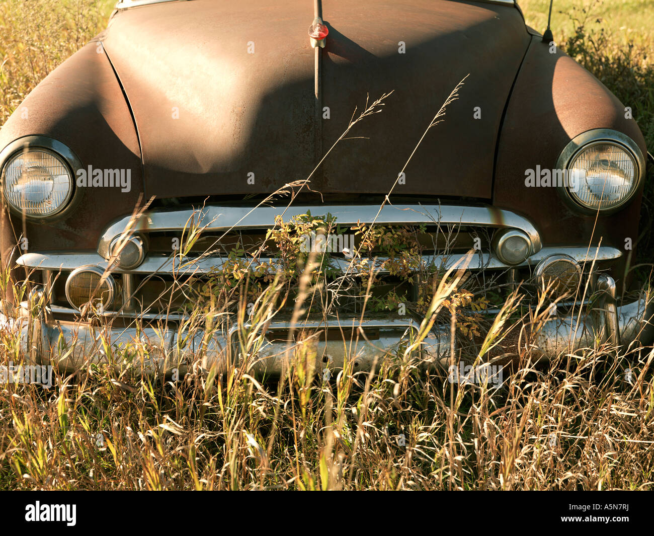 Front end of old abandoned antique car in field Stock Photo - Alamy