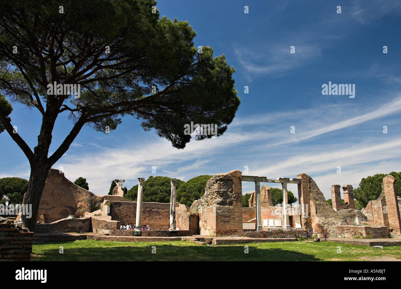 Shaded Ancient Ruins: A large Umbrella pine frames a view of the ruins of the huge archaeological site of the old port near Rome Stock Photo