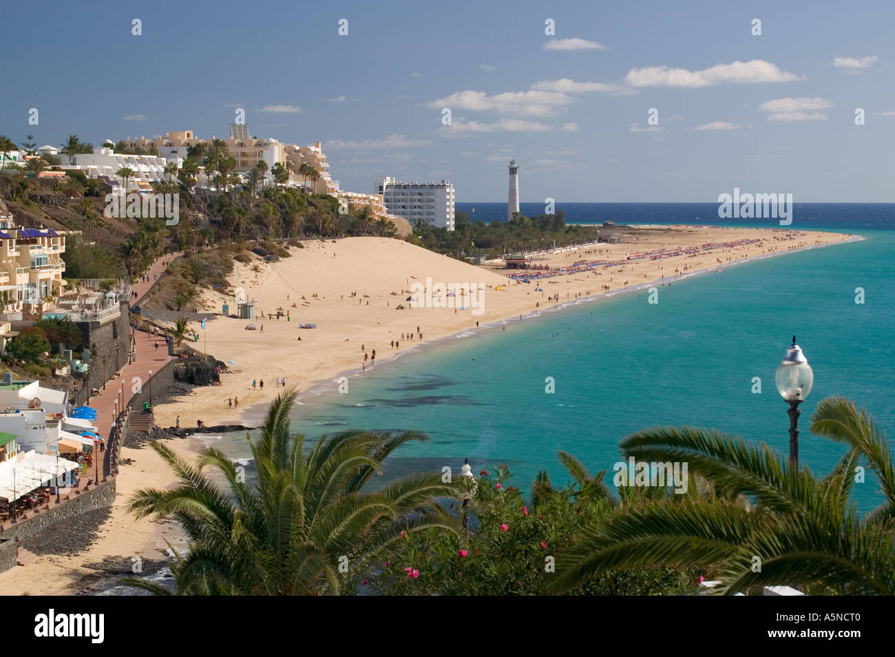 Playa de Sotavento de Jandia Morro Jable Fuerteventura Canary Islands Spain  Stock Photo - Alamy