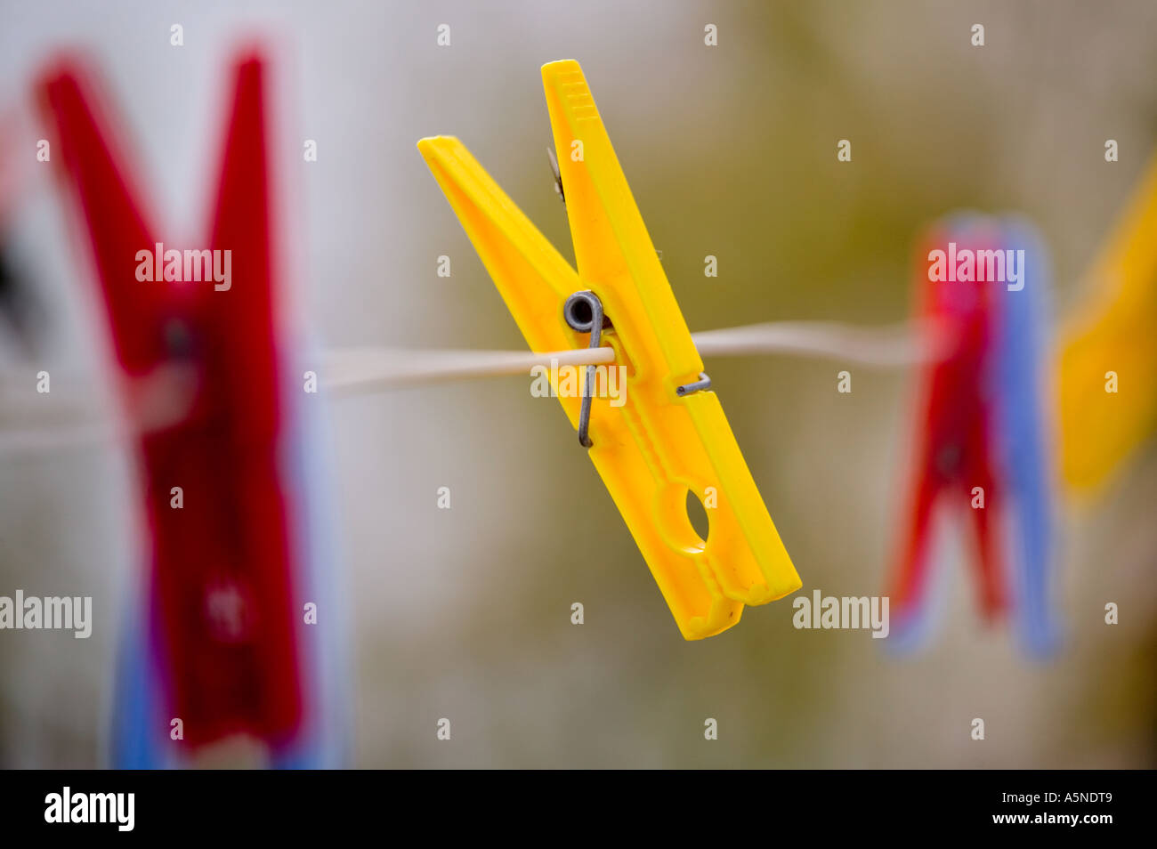 Plastic clothes pegs on line Stock Photo