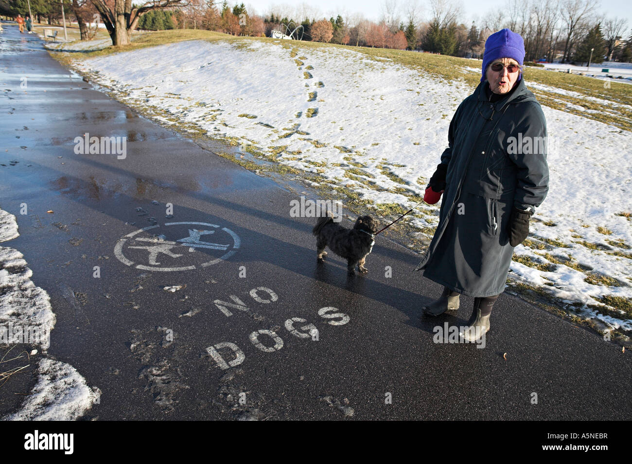 Arbitrary Rules, woman and dog Stock Photo