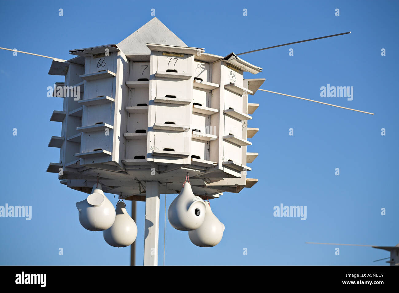 Granny Flats: A large martin bird house includes a few hanging gourd like apartments for extra avian accomodation Stock Photo