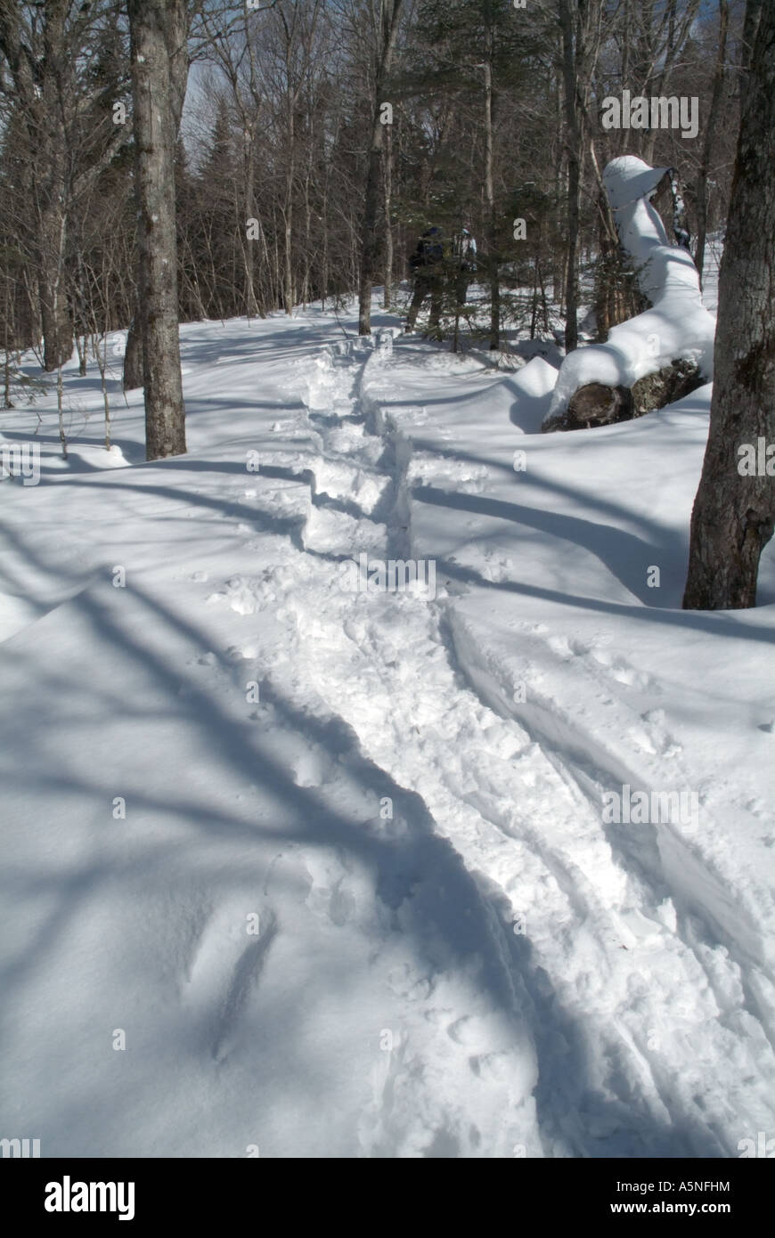 Snowshoe tracks on Starr King Trail in the White Mountains New