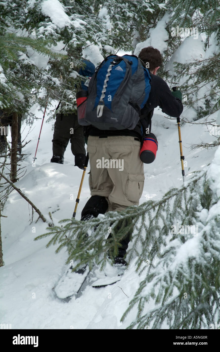 Hikers snowshoeing on Starr King Trail in the White Mountains New