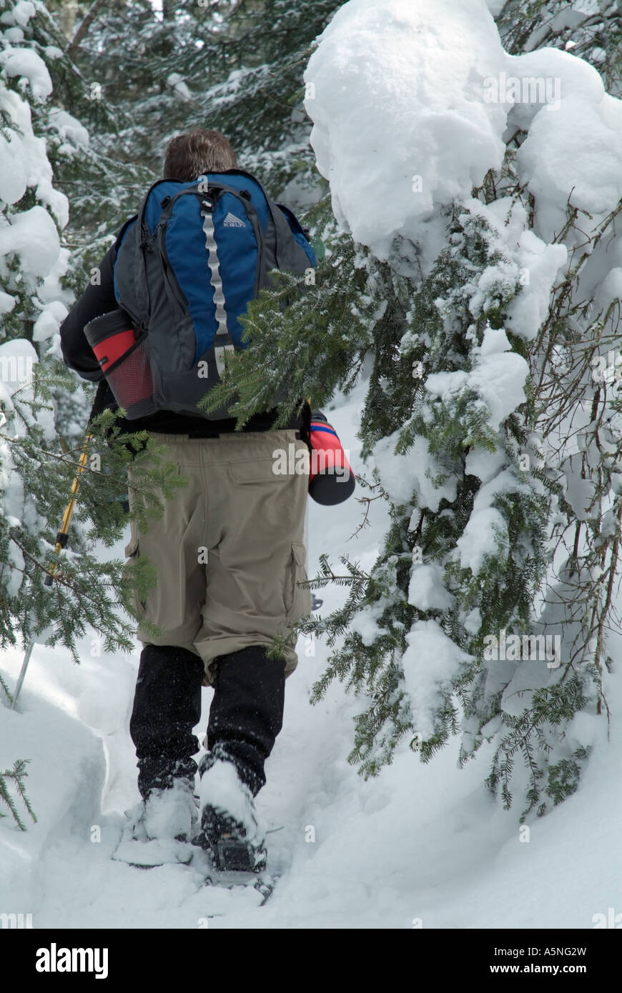 Hikers snowshoeing on Starr King Trail in the White Mountains New