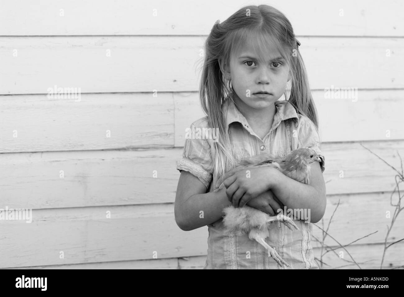 young girl tightly holding her pet chicken Stock Photo