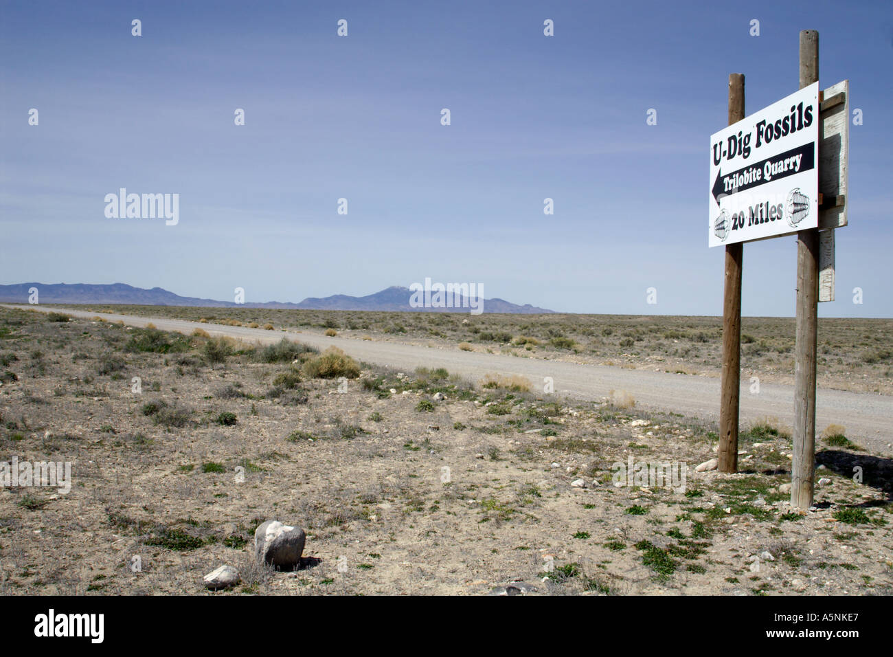 Sign for fossils hi-res stock photography and images - Alamy