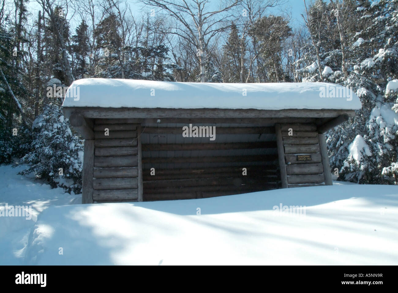Appalachian Trail , Beaver Brook Shelter, White Mountains, New