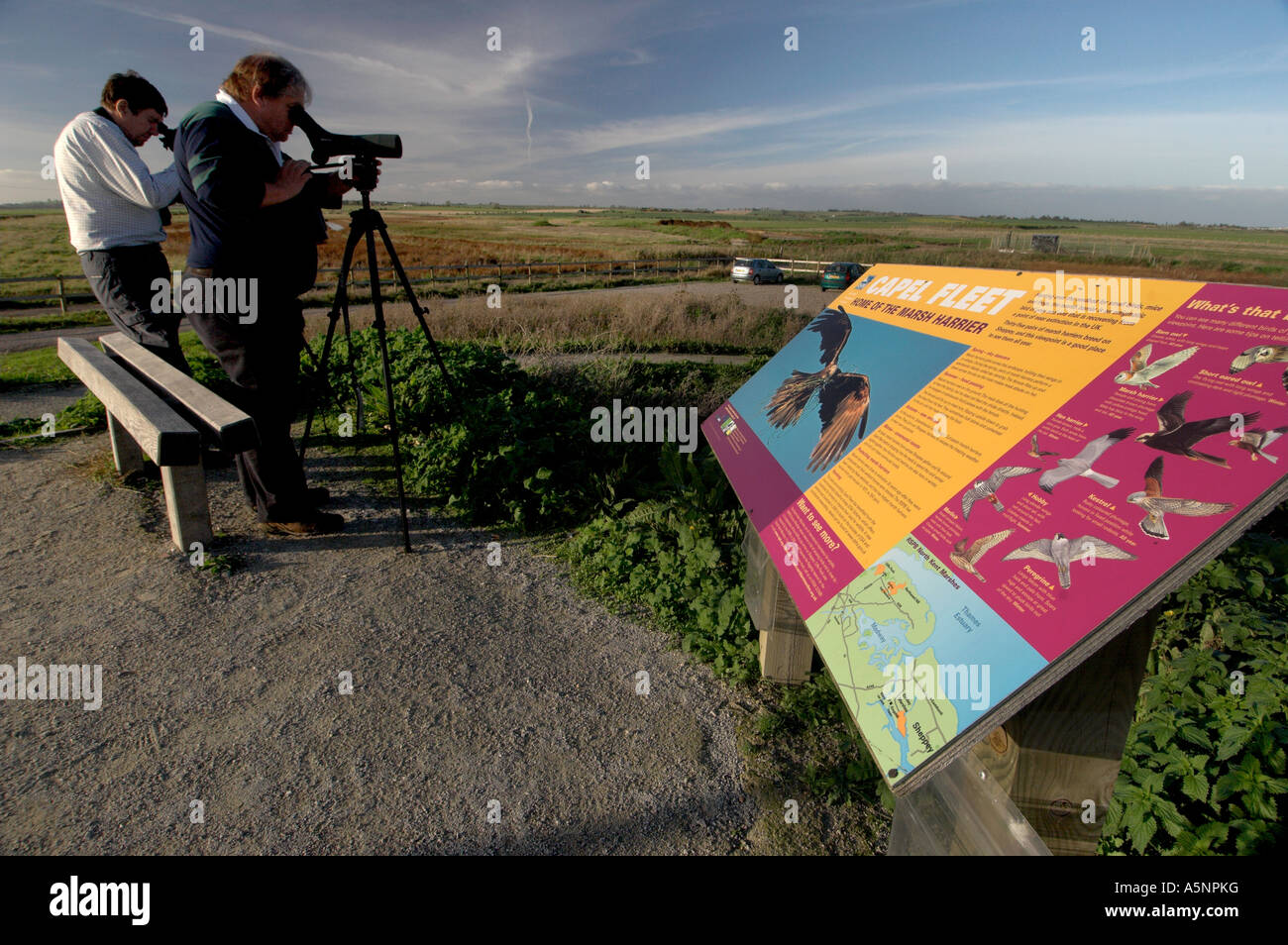 Birdwatchers using RSPB Raptor Viewing Point. Capel Fleet, Harty, Isle ...