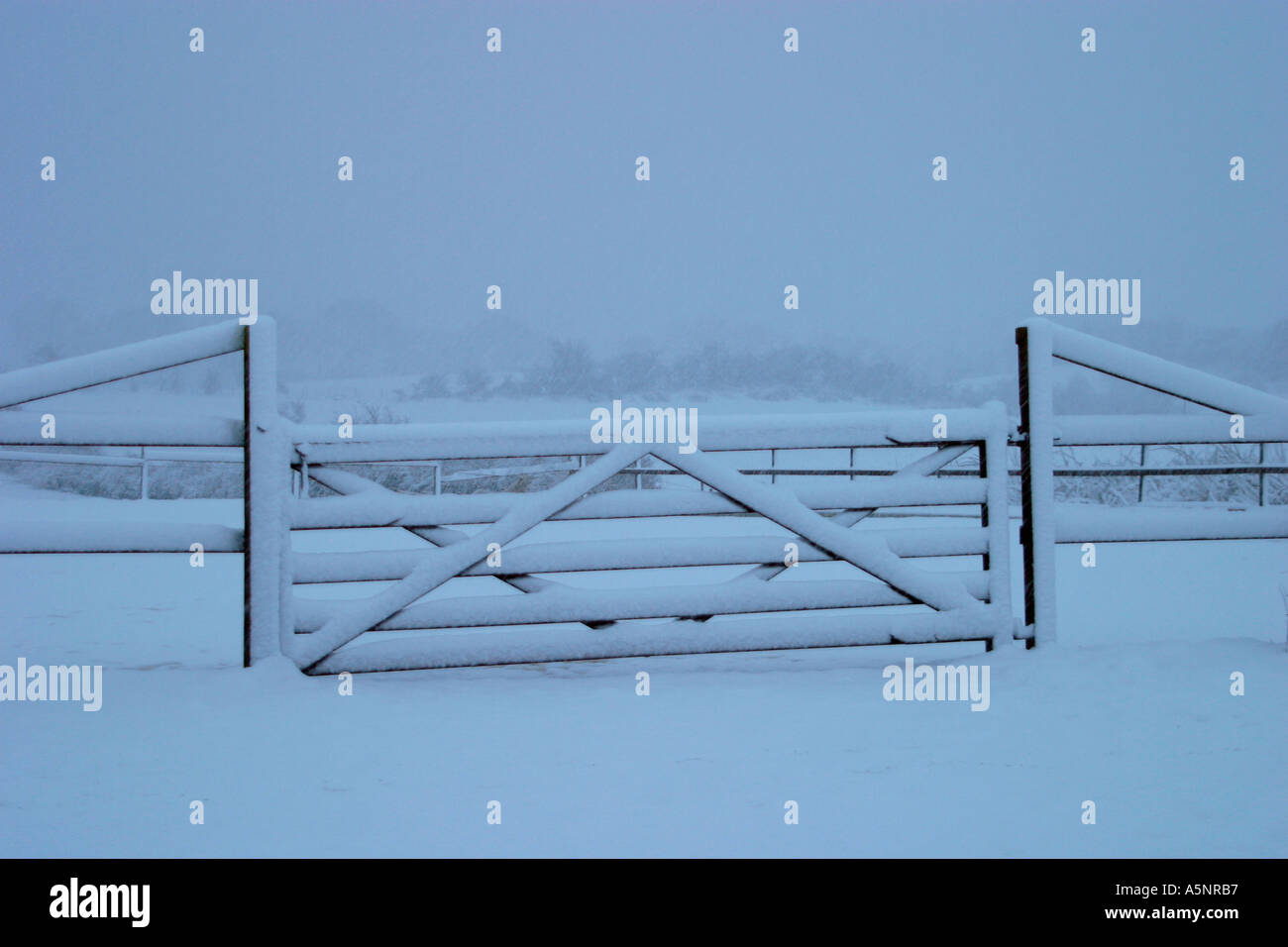 Falling snow in front of farm gate Stock Photo