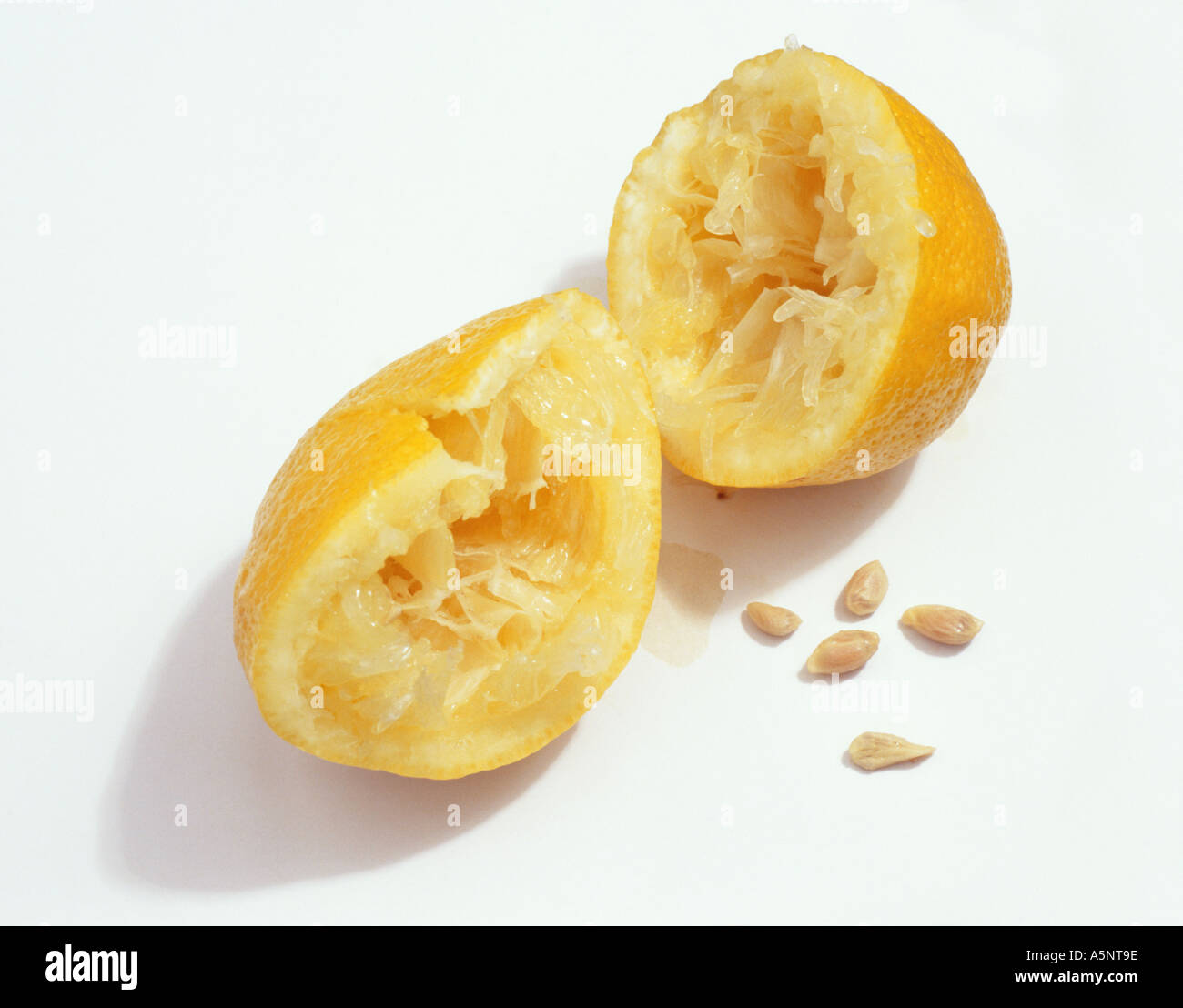 A squeezed lemon and pips Stock Photo Alamy