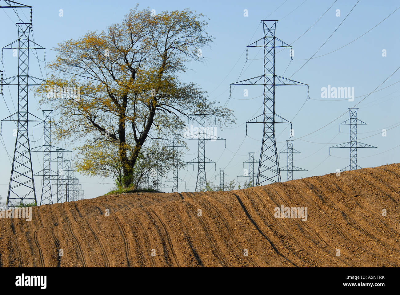 Power distrybution and agricultural land Stock Photo - Alamy