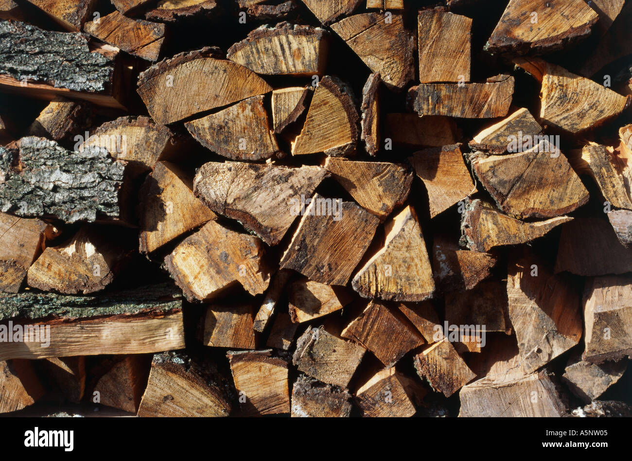 A wood stack Stock Photo