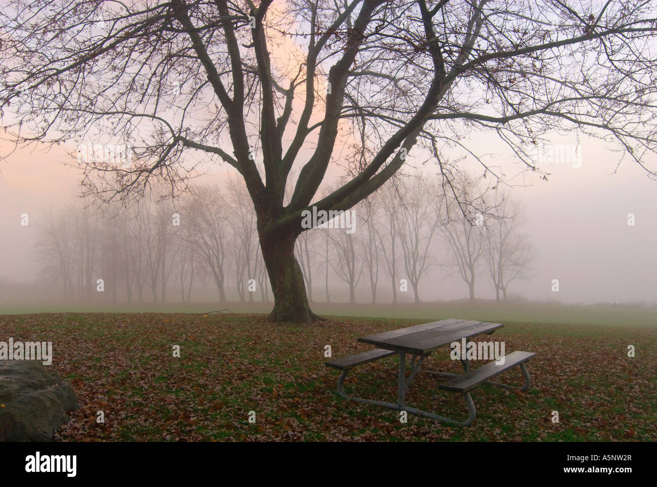 Fall scene with park bench Stock Photo - Alamy