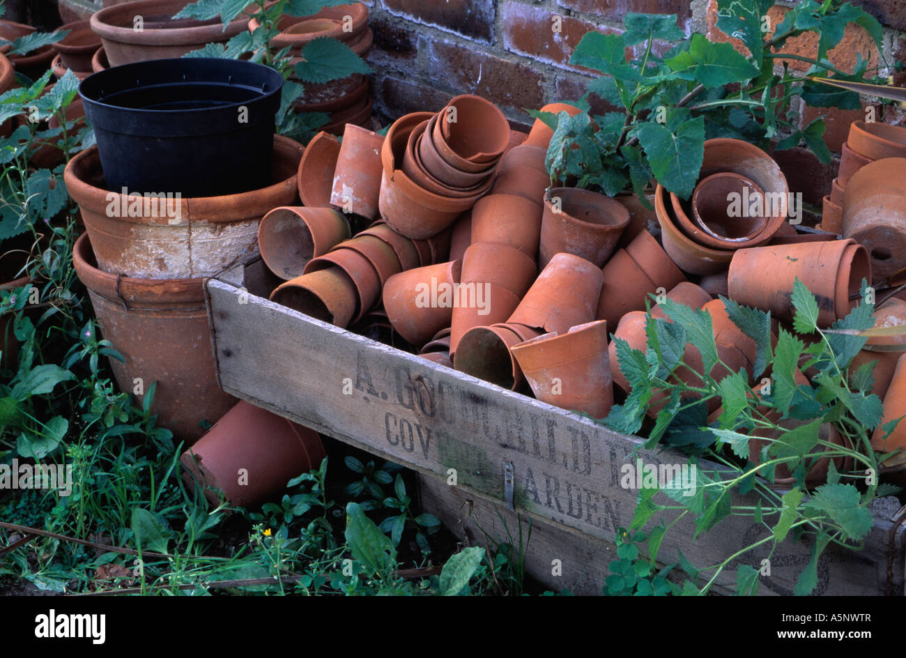 Collection of old terracotta pots in wooden crate Stock Photo - Alamy