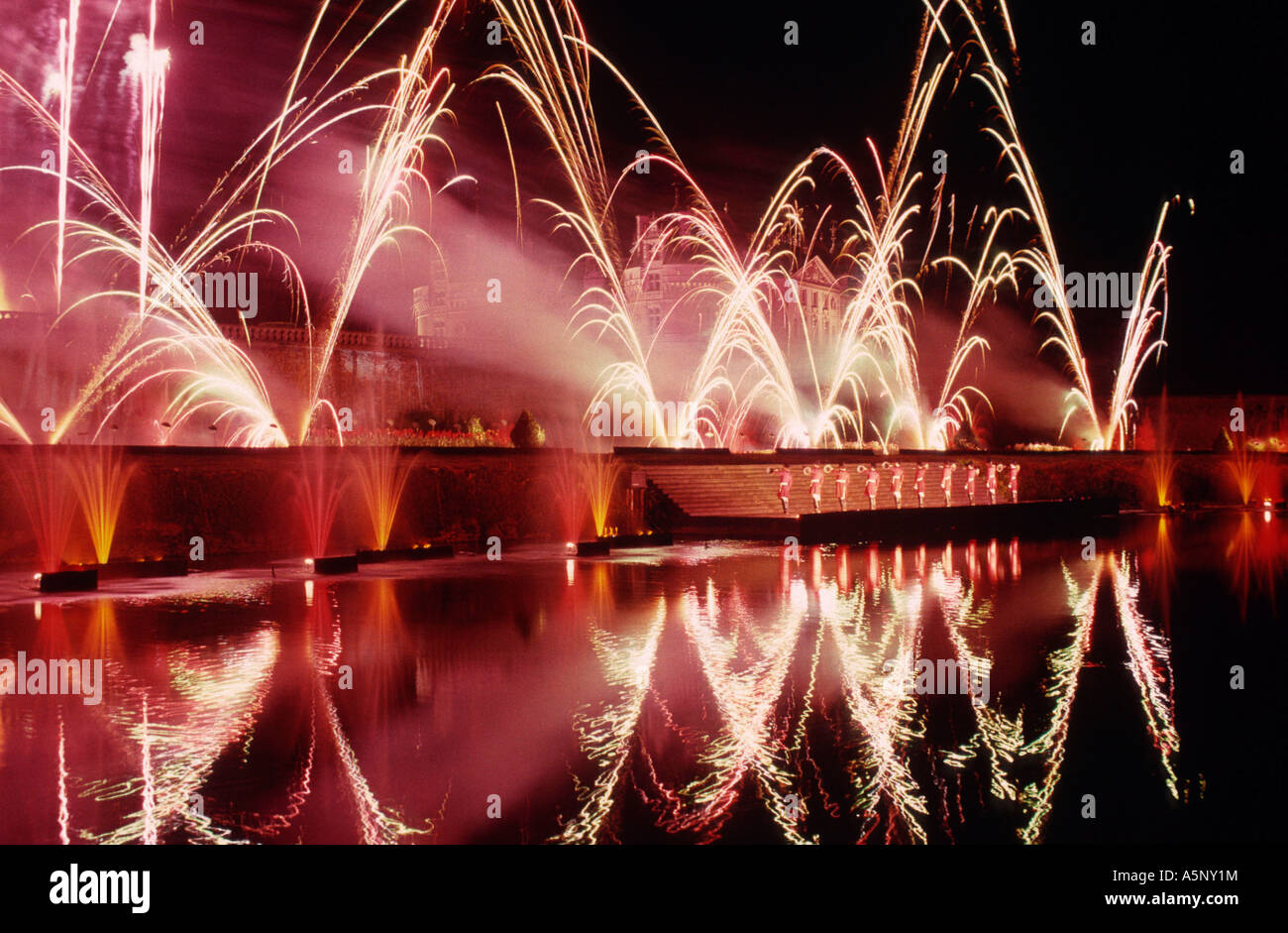 Firework  Stock Photo